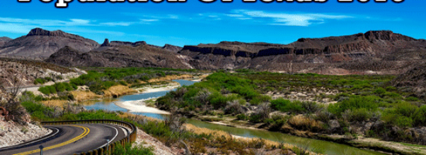 population of Texas 2019