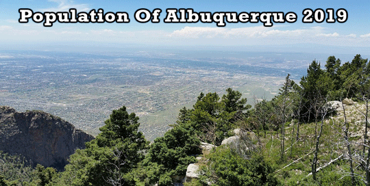 population of Albuquerque 2019