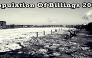 population of Billings 2019