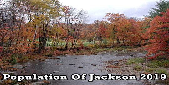 population of Jackson 2019